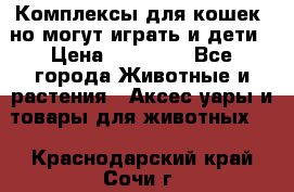 Комплексы для кошек, но могут играть и дети › Цена ­ 11 900 - Все города Животные и растения » Аксесcуары и товары для животных   . Краснодарский край,Сочи г.
